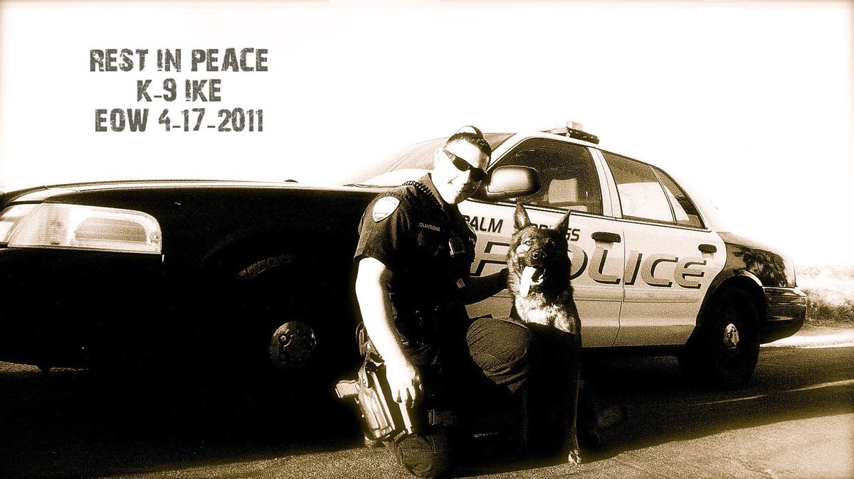 Today marks 9 years since K9 Ike selflessly sacrificed his own life to protect his partner, Officer Colantuno. Check out @palmspringspolicek9 on Instagram for a challenge in honor of Ike and join us for the K9 Ike memorial run next year 💙🇺🇸