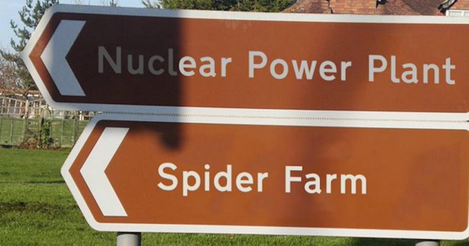 Nuclear Plant/Spider Farm