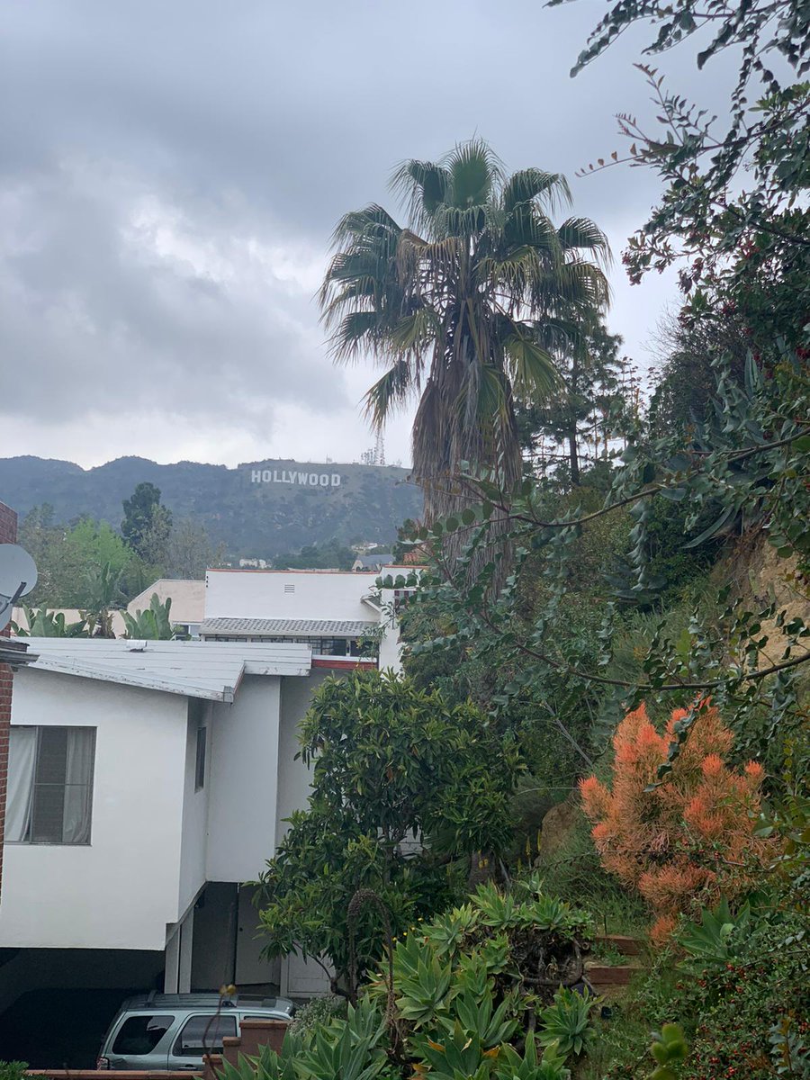 Marcos Stubrin tweet media