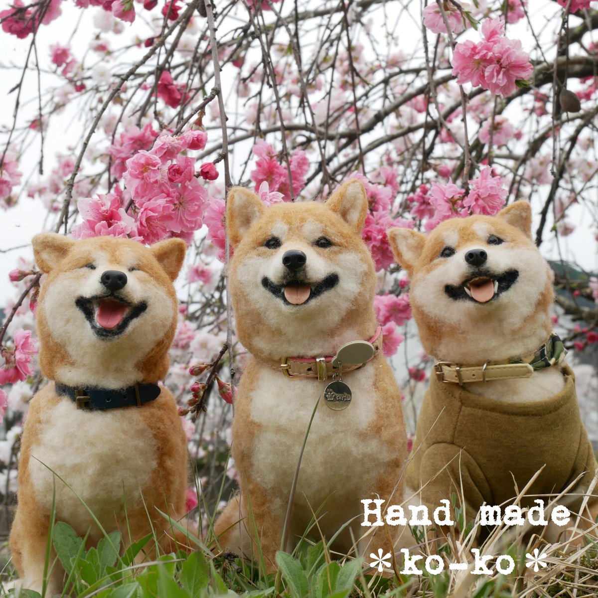 Twoucan 羊毛フェルトリアル柴犬 の注目ツイート イラスト マンガ コスプレ モデル Twoucan 羊毛フェルトリアル柴犬 の注目ツイート イラスト マンガ コスプレ モデル