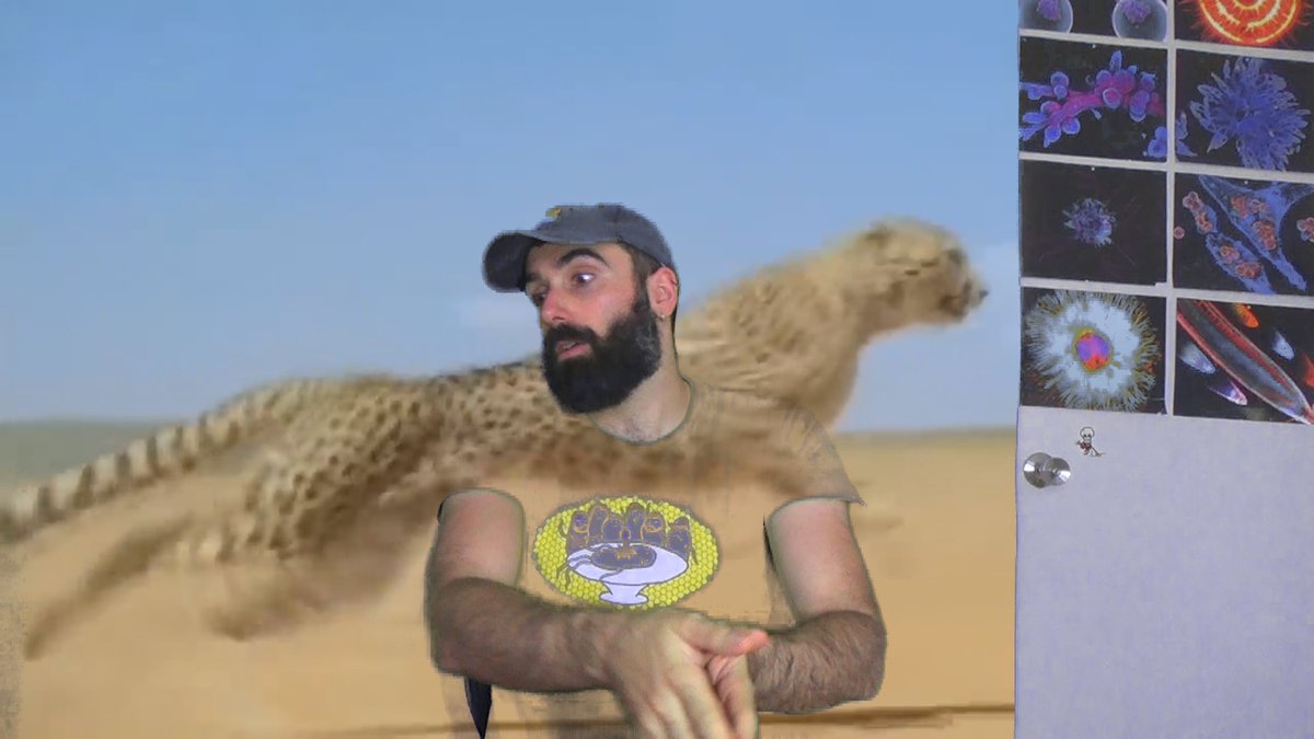 Tardgrado3's tweet photo. Ya andamos Humano y yo montando el nuevo video (parece que lo tenemos ya todo grabado). La 1a parte rondará la media hora... que a Humano se le calentó la lengua y grabó como una hora y media de crítica. A mi nunca se me calienta la probóscide, porque entre otras cosas no hablo. https://t.co/WAcEQqHr0B