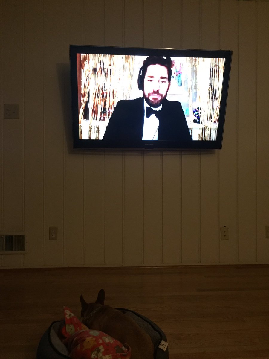 laurenc140's tweet photo. Never thought I’d be going to prom with my family and dog as a college senior but why not?? Thank you @johnkrasinski @somegoodnews #SomeGoodNews https://t.co/3HAtDENFEZ