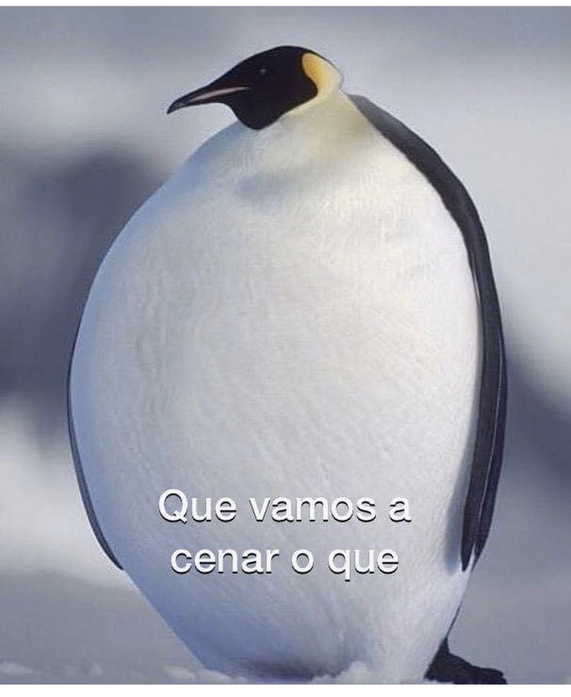 gloriadve's tweet photo. @HUGOSAVA Yo en una hora https://t.co/MSlpyfraux