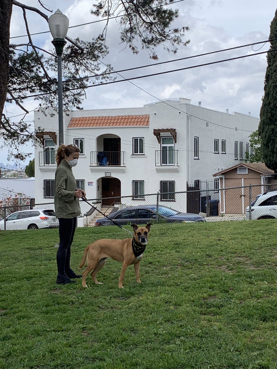 DogBuddyLA tweet media