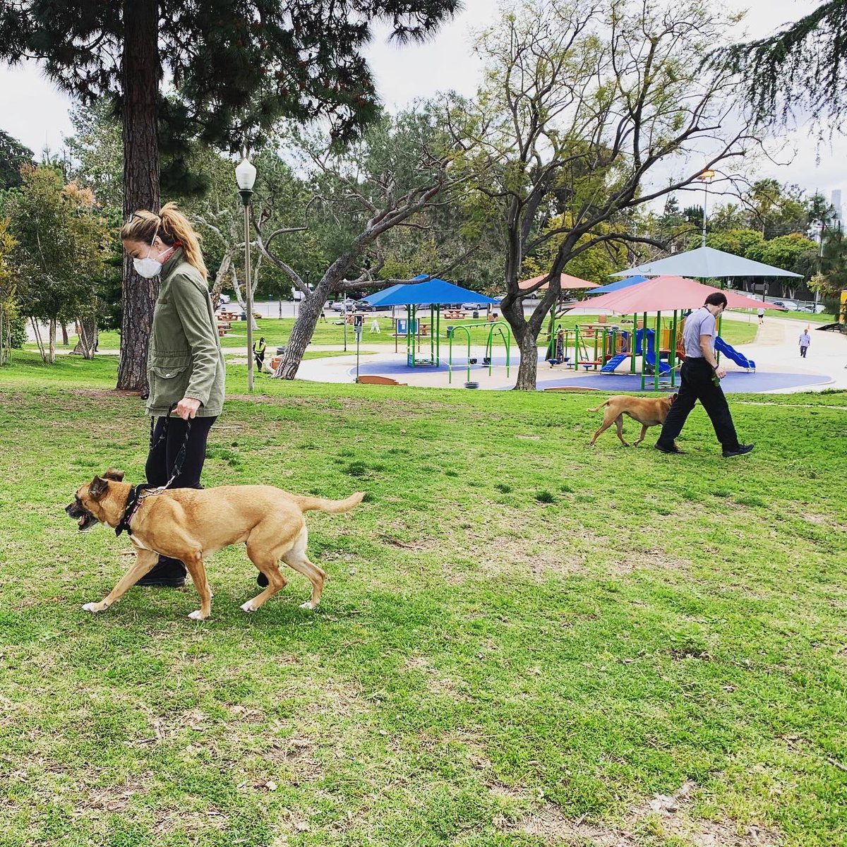 DogBuddyLA tweet media