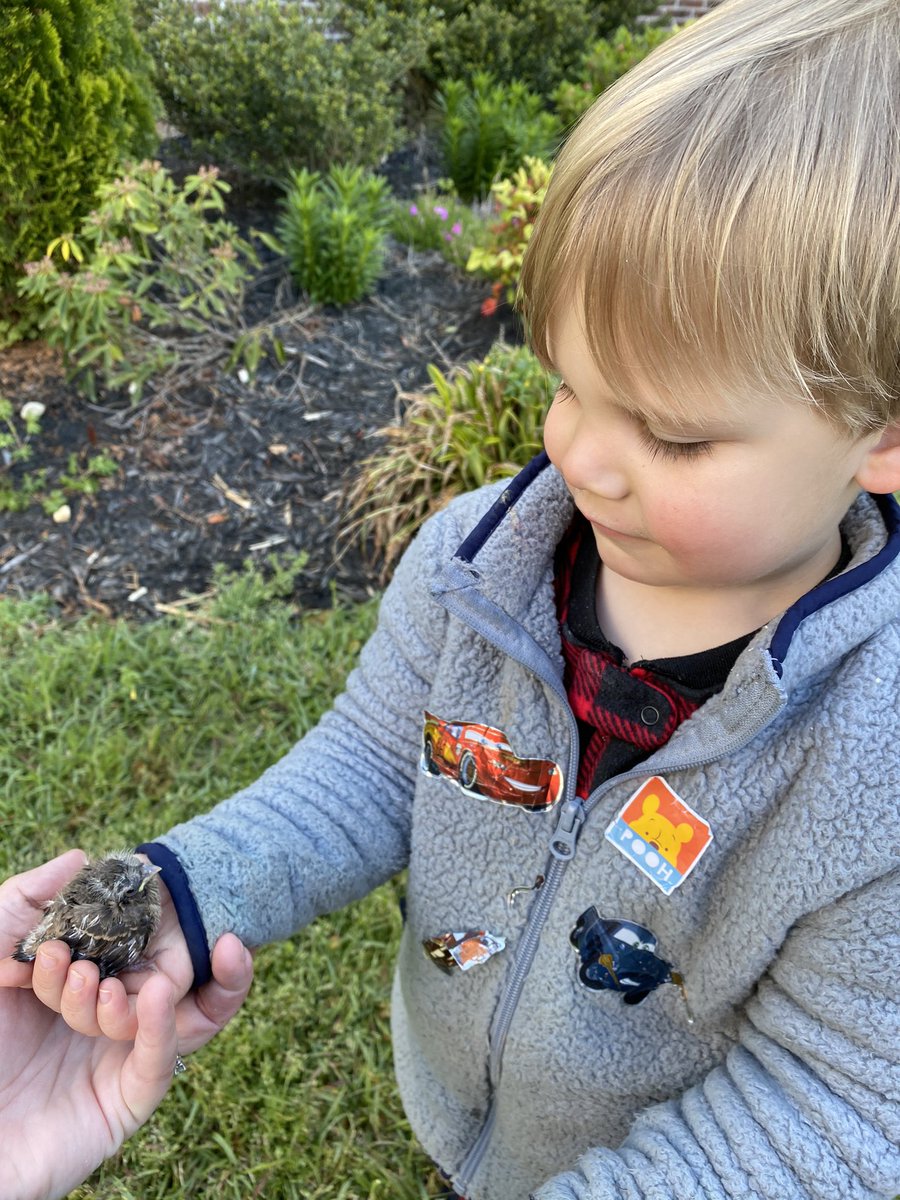 MrsDwyer_grade3's tweet photo. Helped out some baby birds today and had a visit from the ice cream truck!! We definitely enjoyed the outdoors today! #FCSRemote @FCSchoolsNC @EdwardBestFCS #imissoutdoorrecess #ineverthoughtiwouldsaythat https://t.co/IizlUHI6XA