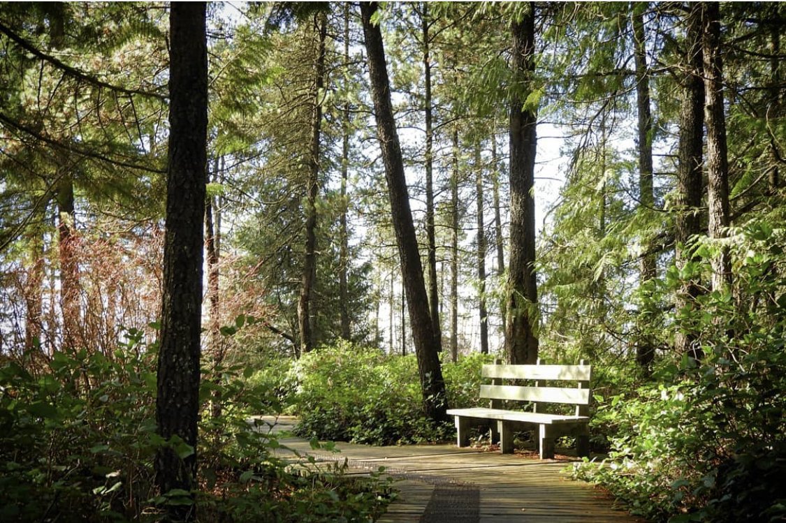 Tourism Delta tweet media