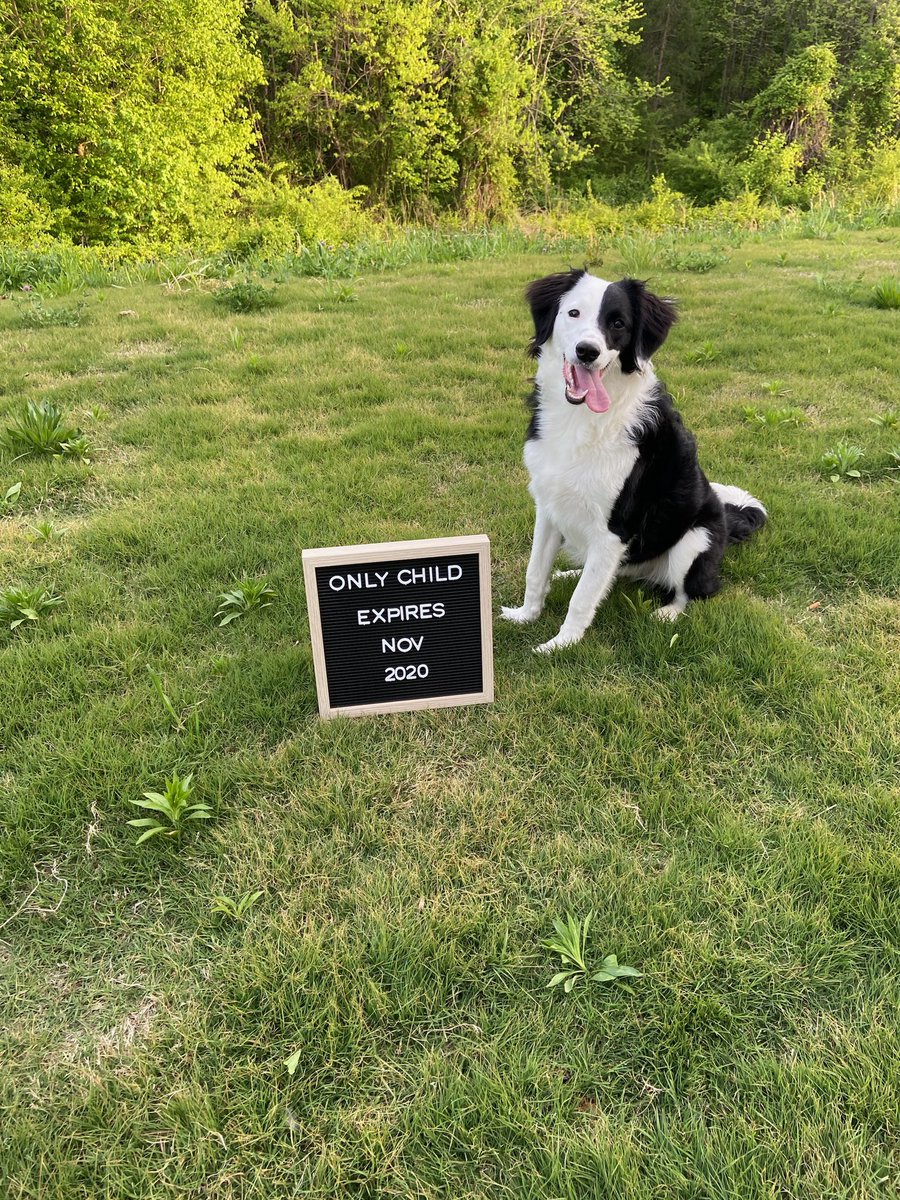 For our twitter friends, we’re excited to announce that Megan and I have our first child on the way, fall 2020. The Lord has been good to us!