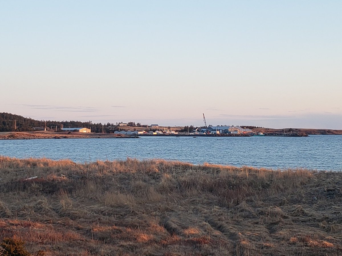 A few photos from the walk with #Rory this evening. #lowerlardoise #littleharbour #sunset