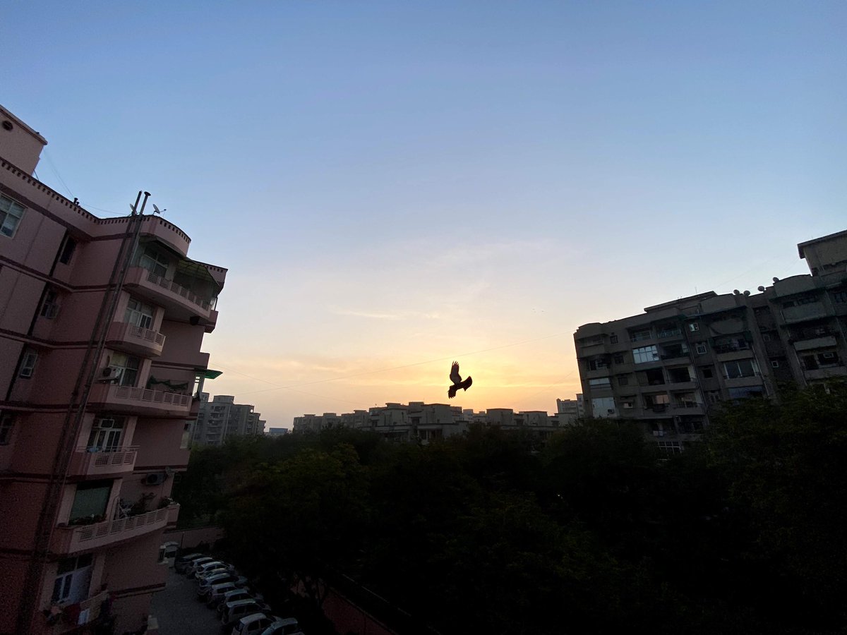 Kajal_AAI's tweet photo. #ahcharyathehypocrite #21dayslockdown #day5 #eyelens #29march2020 #delhimorning #shotiniphone #iphone11pro #bemindful #rawnature #quickrevival #staysafe #stayhome #goodmorning ππ #mybalconyview #loveforclouds #aanvikshiky https://t.co/qDTOkIydkY