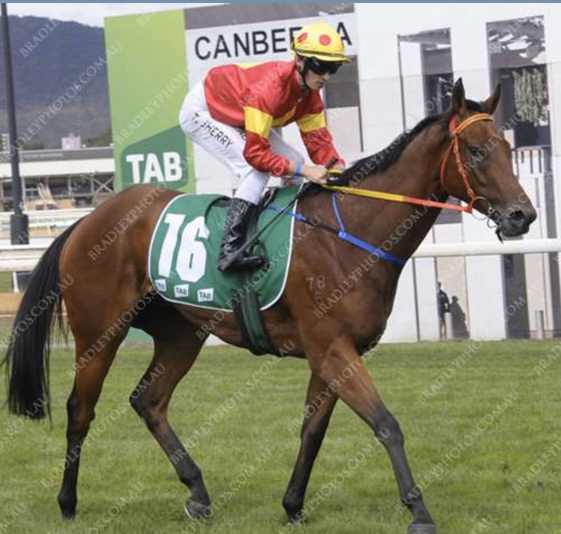 Three runs this prep, Three different jockeys, three different tracks, three different distances......all with the same outcome, VICTORY. Onwards &amp; upwards with a great bunch of owners #Zelago #JJR #jjrwinners