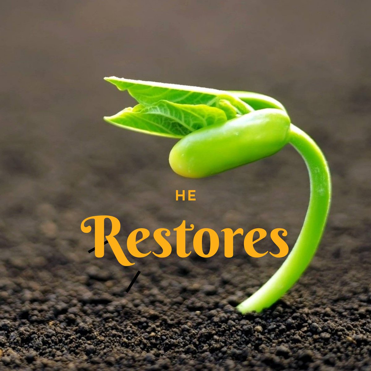 BSFWestlandsYA's tweet photo. For God has not despised or scorned
the suffering of the afflicted one;
He has not hidden his face from him
but has listened to his cry for help.
#HeRestores #BeStill #HeIsStillGod #WeWaitOnYou #BSFWestlandsYa https://t.co/iiWbmeYU0v