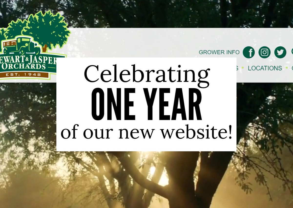 StewartJasper's tweet photo. TODAY marks the O N E year anniversary of our new and improved Stewart &amp; Jasper website -- lets celebrate! We're offering 10% off (including FREE SHIPPING) the entire day (4/19)! *ENTER CODE: ANNIVERSARY10 at checkout.* Shop now >> https://t.co/zofyBxsmpb https://t.co/RSyumJvqon