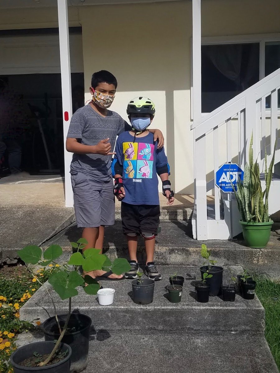 SEEQers in EQS Hoʻokahe Wai, Hoʻoulu ʻĀina were worried about the native plants they have been caring for on campus. Thank you Ms. Andi for safely delivering these plants and thank you SEEQers for adopting them!