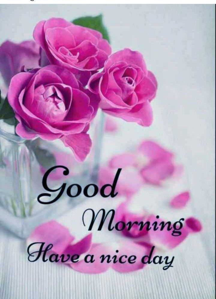0Shayari's tweet photo. https://t.co/DKULO52piY