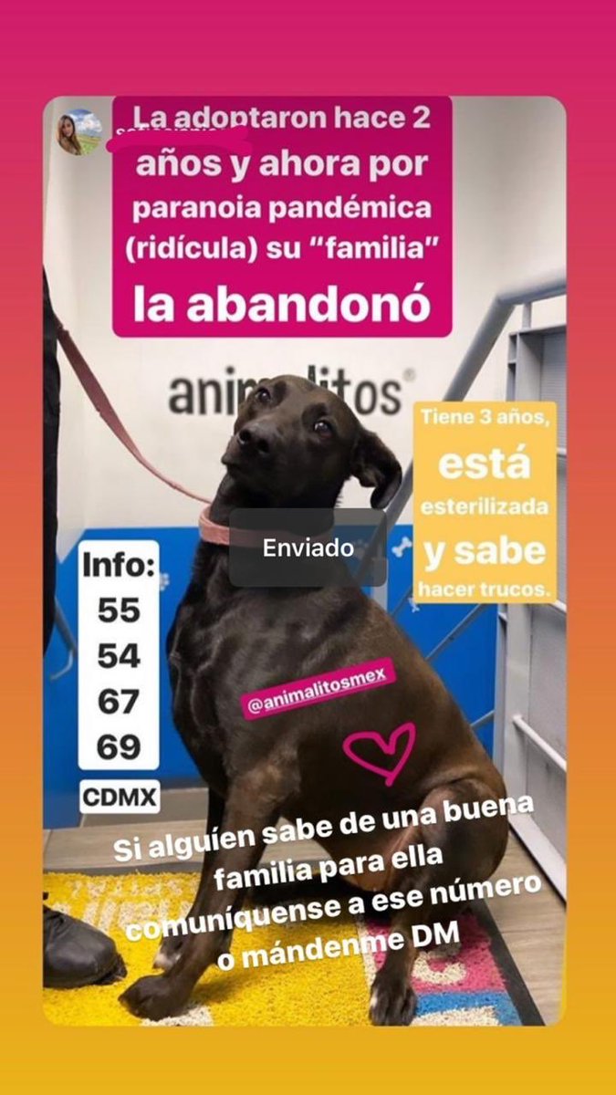 A L I 🐾 tweet media