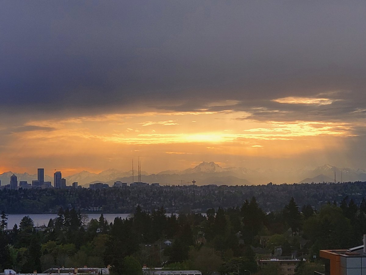 naserbaseer's tweet photo. #Seattle looks like an oil painting tonight. https://t.co/aIkaNHILiZ
