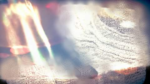 dharmabone's tweet image. 