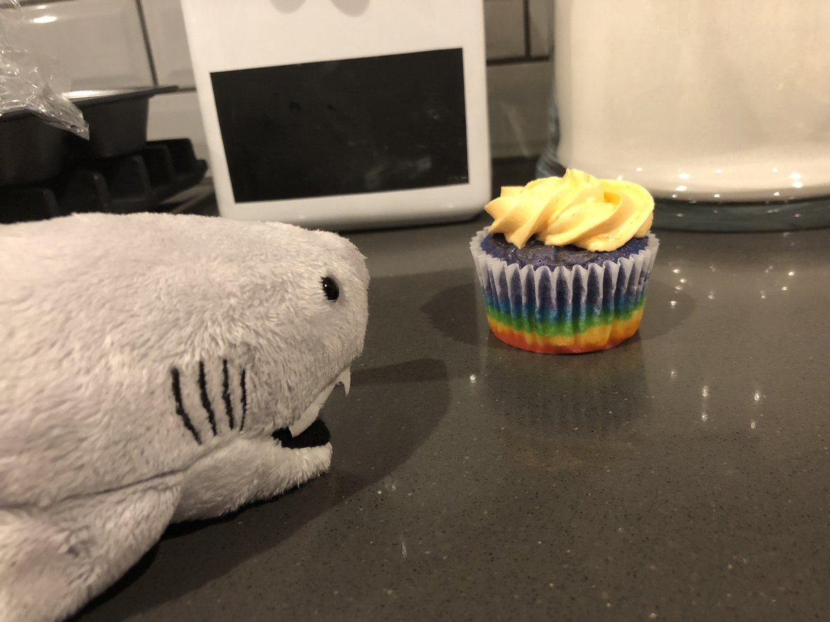 Mmmm. Sharks like cupcakes.