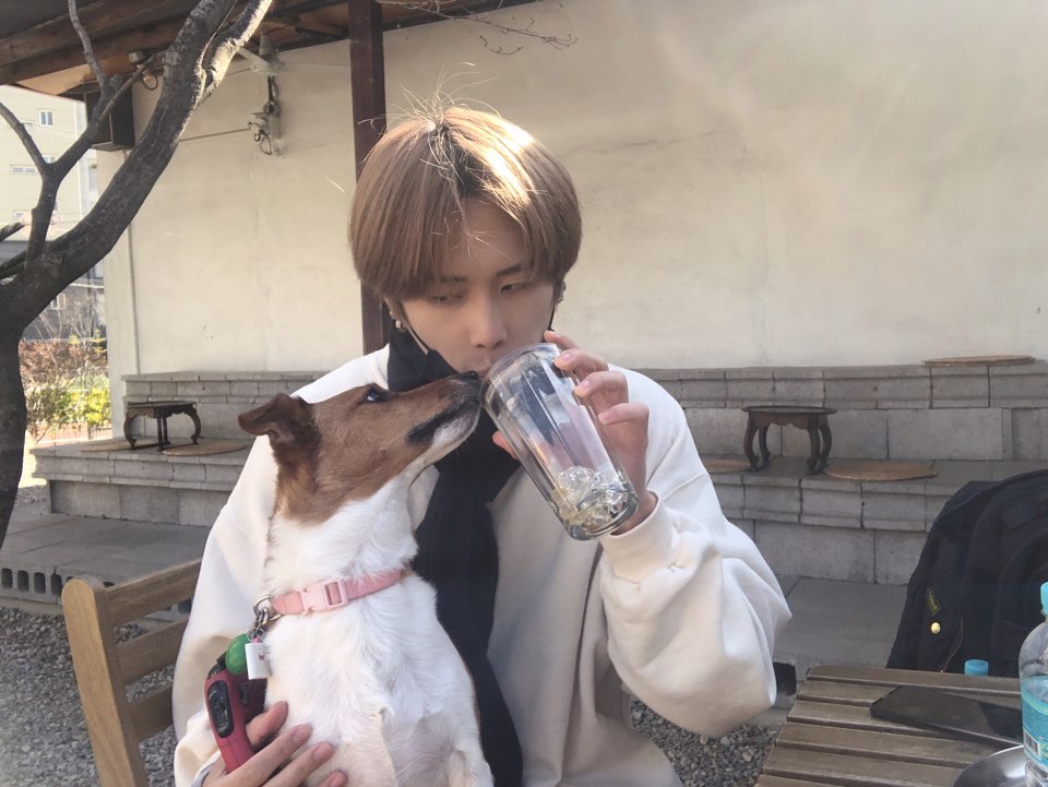 AlphaBAT_APB's tweet photo. (그만 뺐어먹어😒 )
오늘 라이브는 어떻게 재밌게 보셨나요??
빨리 코로나가 없어지고! 직접만나서 멋진무대보여드릴게요☺ https://t.co/8pQ8es0rbe