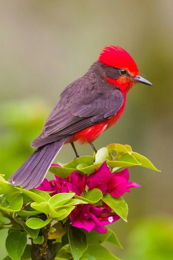 Avani_g_s's tweet photo. Hello friends 🥀🏵️ Happy weekend to you all 💞 https://t.co/ruR0cQ8Auv
