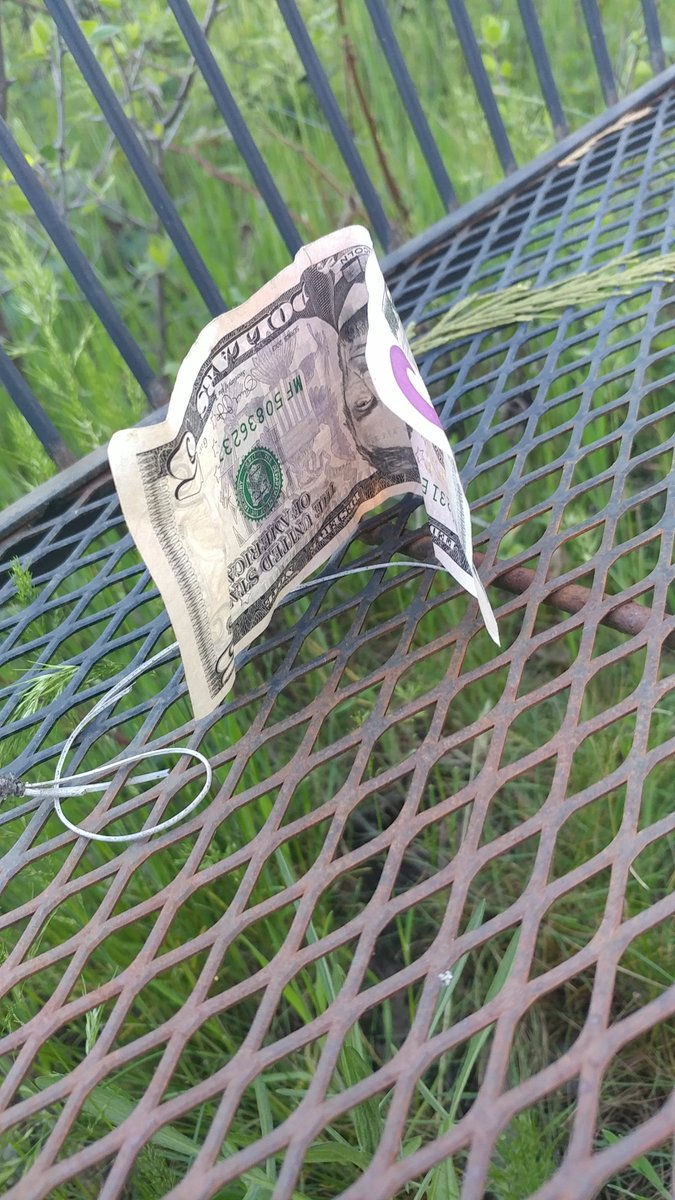 RealPhilipLee's tweet photo. #CHILLIN! Max found a $5 bill in the burn barrel!
#BurnBarrel #CashMade https://t.co/wpxwnG2ZHn