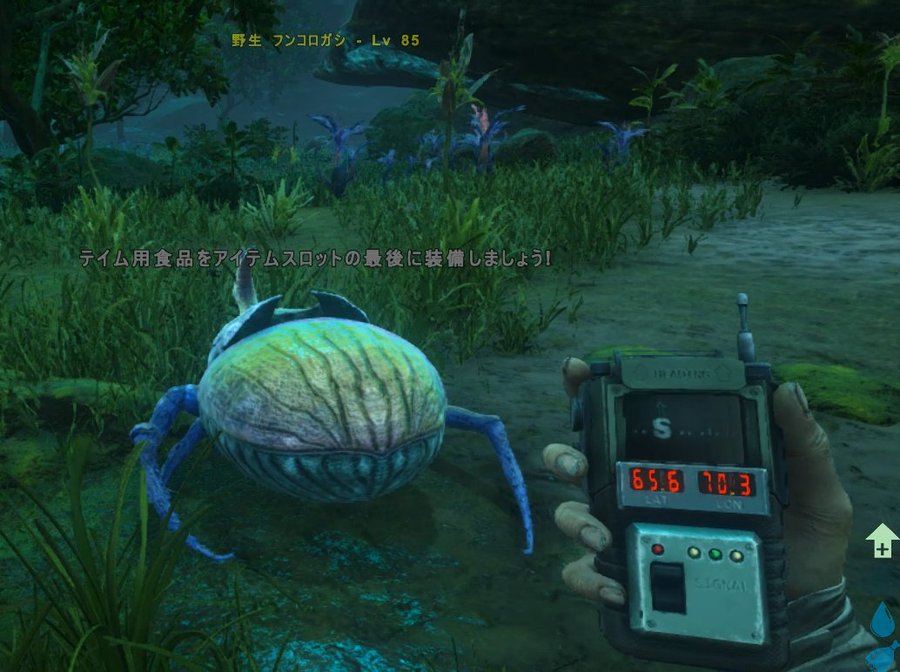 Ark Genesis ジェネシス フンコロガシの場所 ひかるゲームず 電験3種 2種 1種のソフト開発