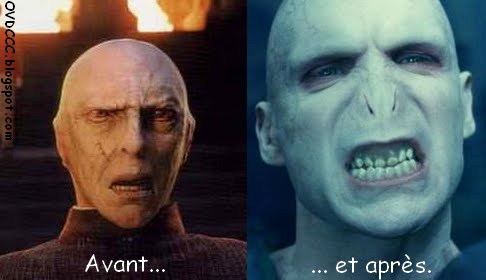 MemeDraco's tweet photo. Attend pour avent il avait un nez ?

#harrypotter #voledemort https://t.co/YXJevT8Aha