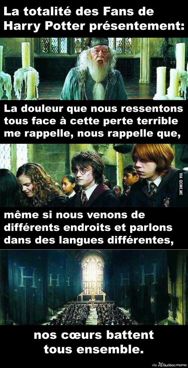 Draco Meme Harry Potter Fr On Twitter Harrypotter Harrypotterfr Https T Co 01iryhuo98 Twitter