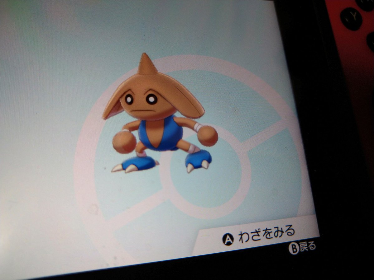 ベストコレクション ポケモン カポエラー 育成論 スリーパー ポケモン