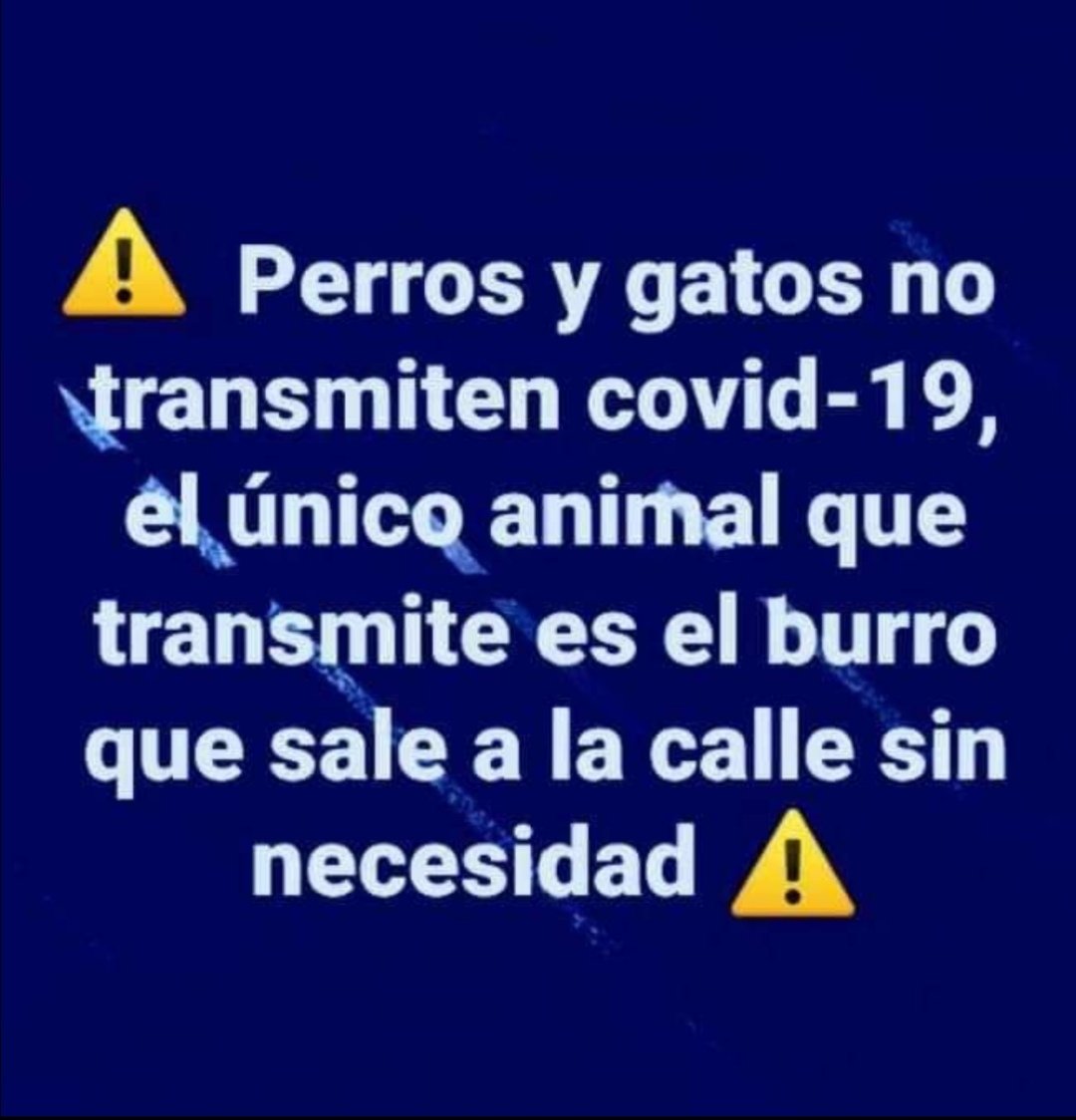 Jesusramirez228's tweet photo. https://t.co/oWBPvHVcLe