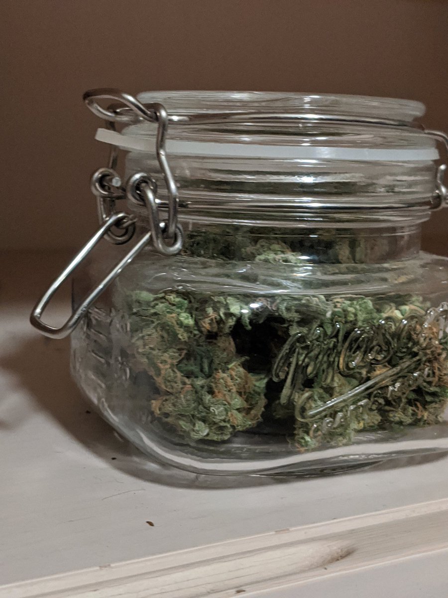 PlutoFlowerBoy's tweet photo. Who down to smoke wit me? 🌻💙

#femboy
#420friendly 
#countdownto420 https://t.co/VwgzUf94dX
