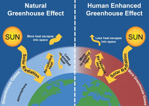 saud-on-twitter-global-warming