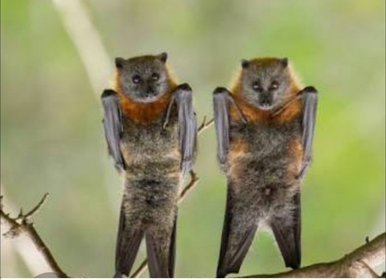 Names not on the list ya not comin in