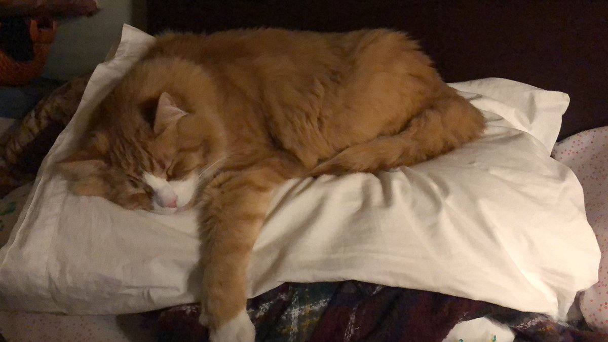 Susan Almon tweet media