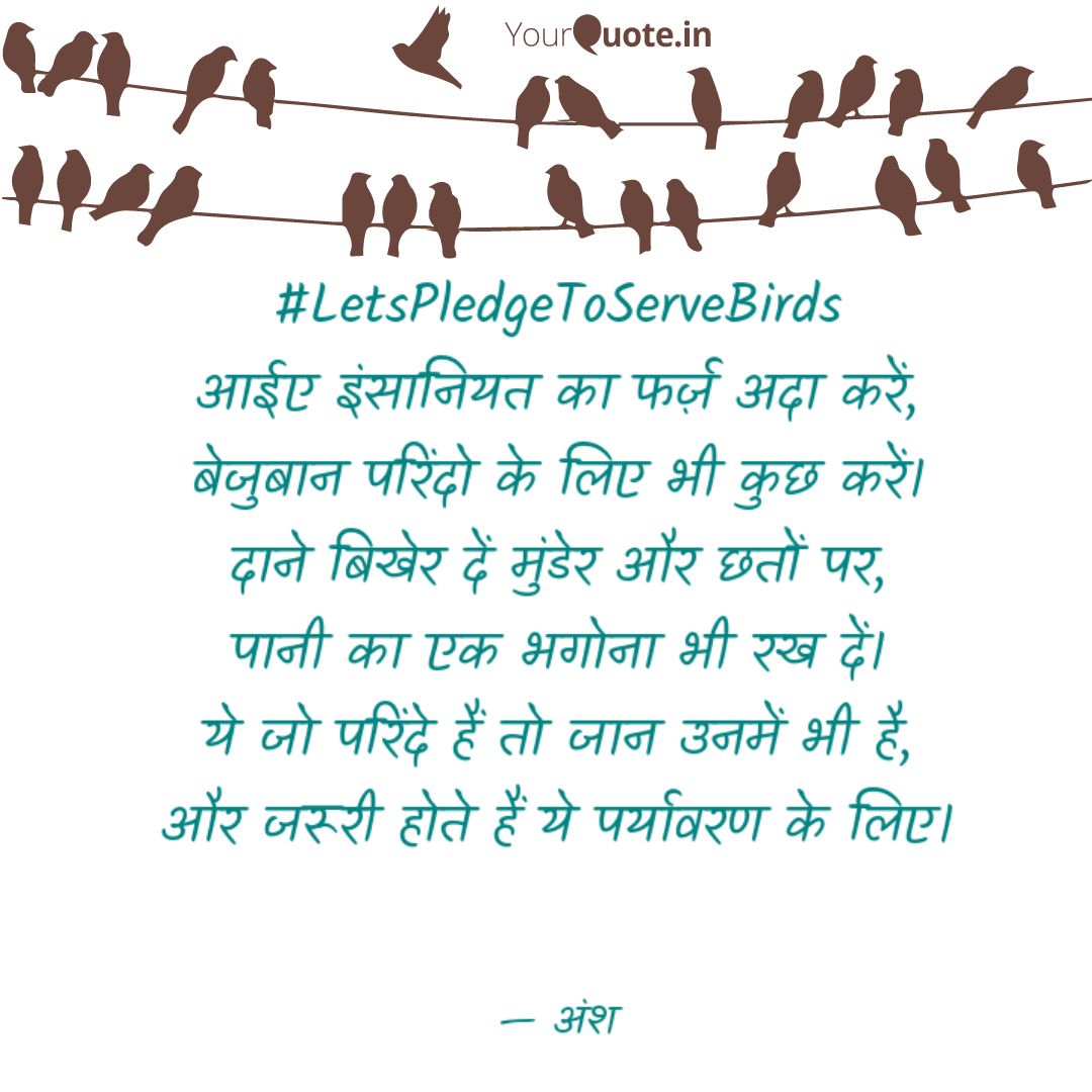 Kataksh__'s tweet photo. परिंदो को भी जीने का हक है, आईए इसमें इन बेजुबानों की मदद करें।
दाना पानी का इंतजाम करें इन बेजुबान परिंदो के लिए...
#LetsPledgeToServeBirds
#birdslove #birdsquotes #birdsinging #birdsfreedom #birdsneedyou #birdsarehappy #birdsneedwater 
Read My Quote on
https://t.co/R2e0jUCB5w https://t.co/5iU5kW5Z12