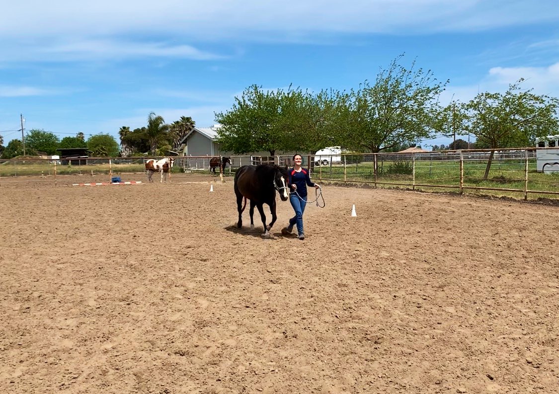 __alexissteele's tweet photo. Another day another 10 miles of running through dirt with my favorite girls. So blessed to be home and still be able to spend time doing what I love. #IntoxicatingZippo #MissMusicalCharlie https://t.co/IZkTevvu32
