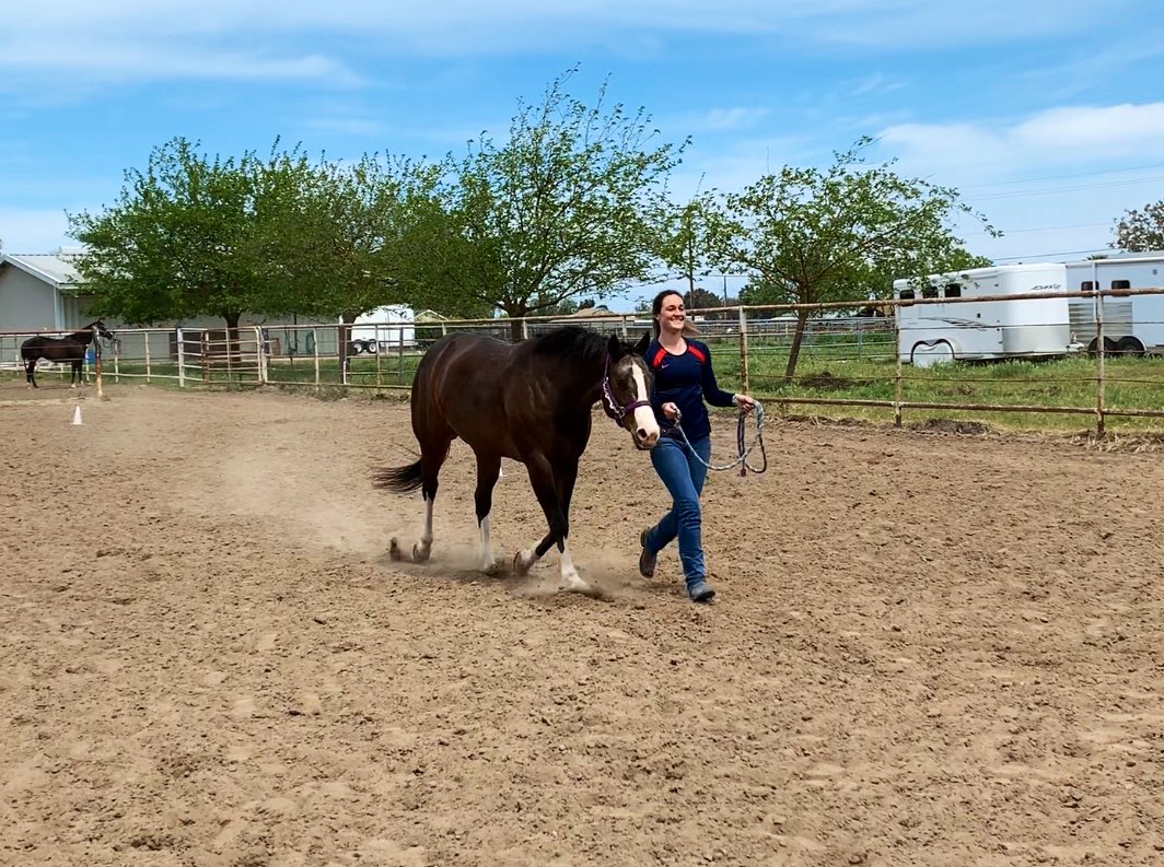 __alexissteele's tweet photo. Another day another 10 miles of running through dirt with my favorite girls. So blessed to be home and still be able to spend time doing what I love. #IntoxicatingZippo #MissMusicalCharlie https://t.co/IZkTevvu32