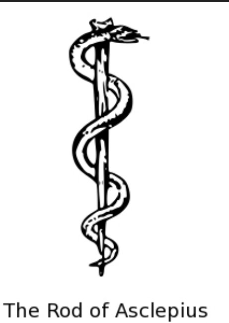 Traditionally, the symbol of the Rod of Asclepius is used in medicine to represent HEALING.