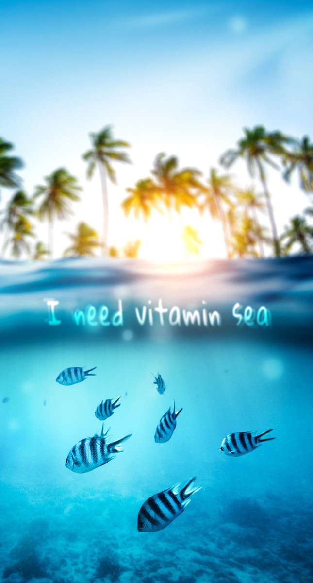 catahouladoglvr's tweet image. In desperate need for the ocean air. I live by the beach and yet I can’t go. I can only hope that I’ll be able to just sit on one soon. #CoronaVirus #2020 #housebound #missingtheocean #inneedofsaltair