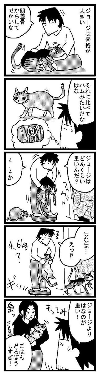 207 はなよりかるいジョージ
最後の生前のジョージは2㎏でした。めっちゃごはん食べてたけど。 