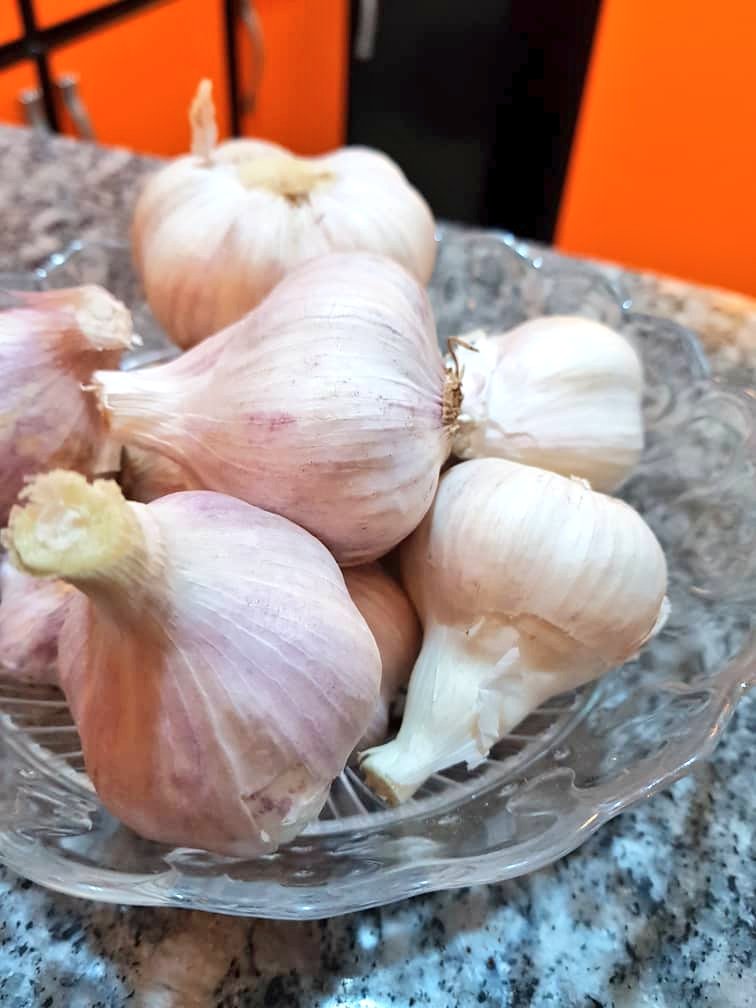 👑الملكة👑 tweet media