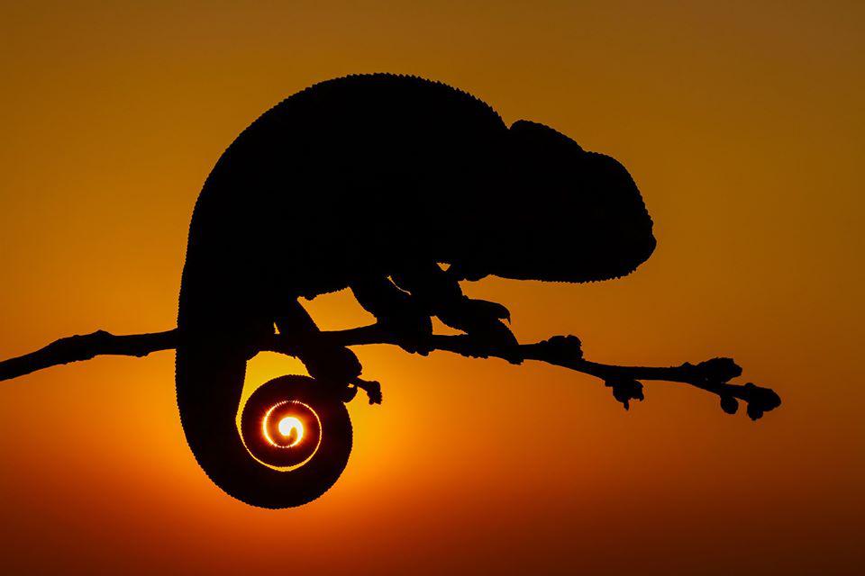 nixcraft's tweet image. the photographer aligned the shot and now we have @SUSE and @Debian Linux at the same time. Let us call it Desu Linux. Ha!