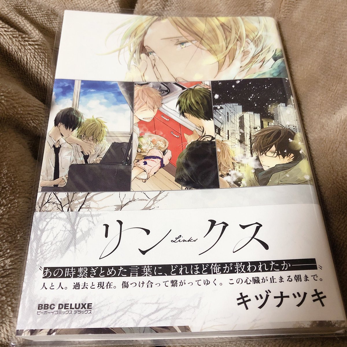 ねぎま V Twitter オススメ漫画 リンクス これは何回読んでも目が腫れ上がるくらいの号泣bl ヤクザとかコミュ障とか4組の カップルのお話だけど 各々にスポットがしっかりあたってるし カップルとはまた別にある男の人が原因とかでもあったり そこが最高に