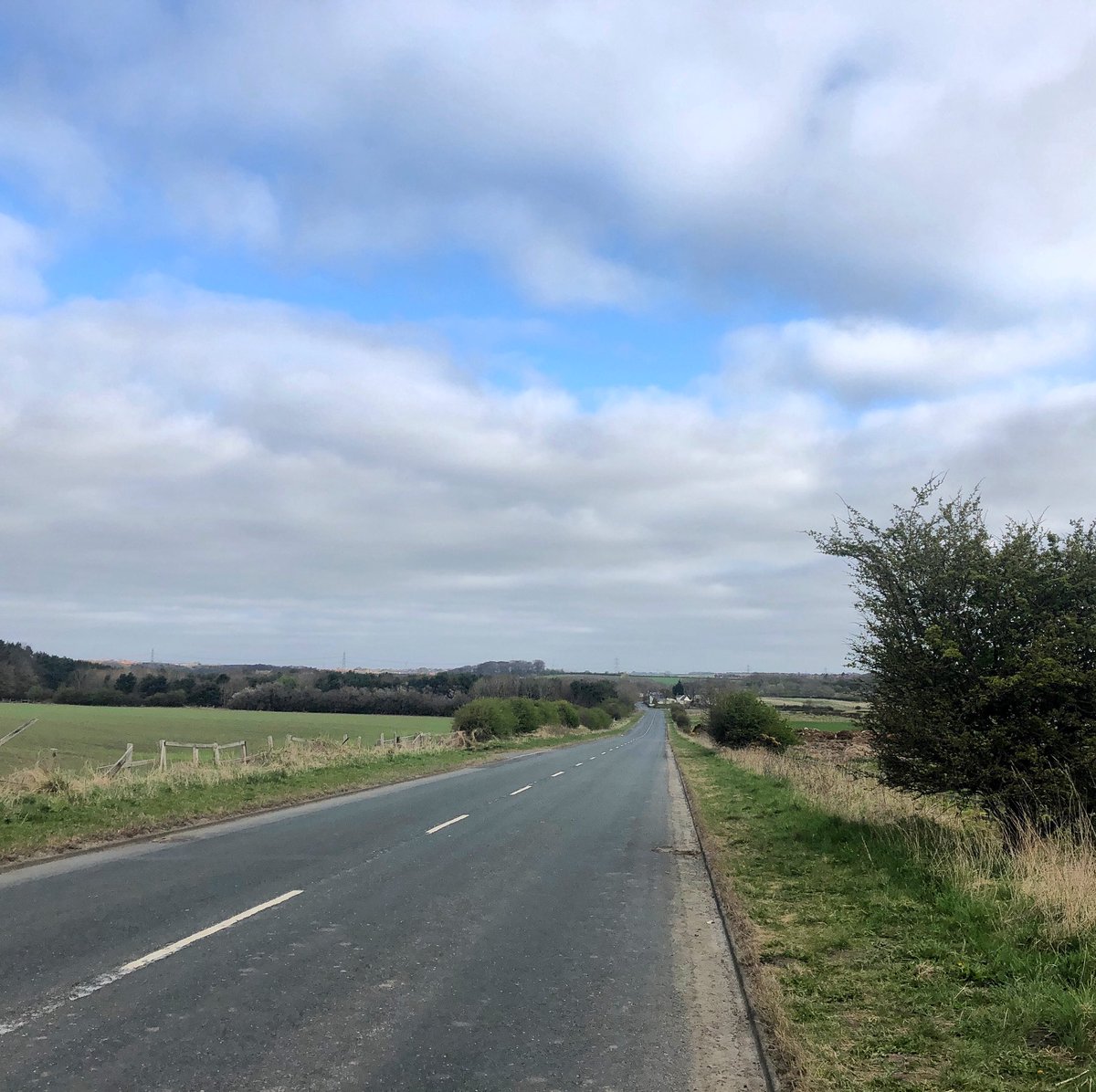 anghall6's tweet photo. Fresh morning run!🏃🏼‍♀️😊 #running #solorun #keepgoing #findingmymojo #motivation #mindfulness https://t.co/YiNtUWF4NX