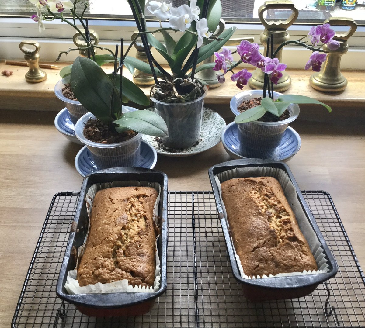 Brackens1's tweet photo. The aroma in my kitchen right now is carrot cake just put of the oven. Root veg. has just gone in the hot oven for part roasting. (Christmas) turkey and roasted root veg. for lunch followed by carrot cake and custard. #notboasting #wonderwoman ๐๐ฆธโโ๏ธ https://t.co/z6KRXMlJnf