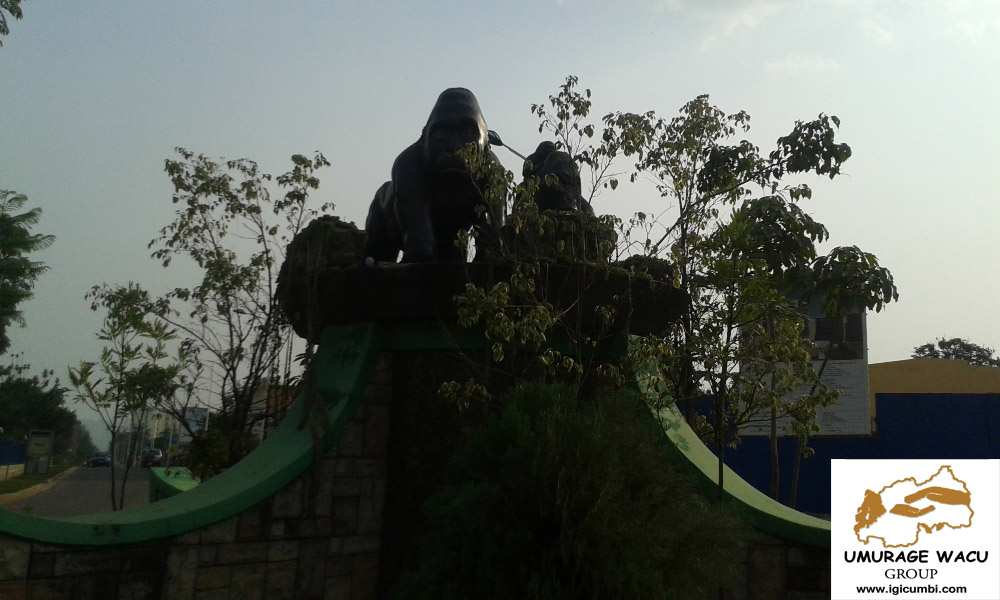 #18April Happy #WorldHeritageDay International Day For #Monuments #Sites. Gorillas in the country of #ThousandHills, the Gorilla Monument is located near the Kigali City Office #SharedCultures #SharedHeritage #SharedResponsibility @ICOMOS @GorillaFunds  #HeritageAndHumanityPhotos