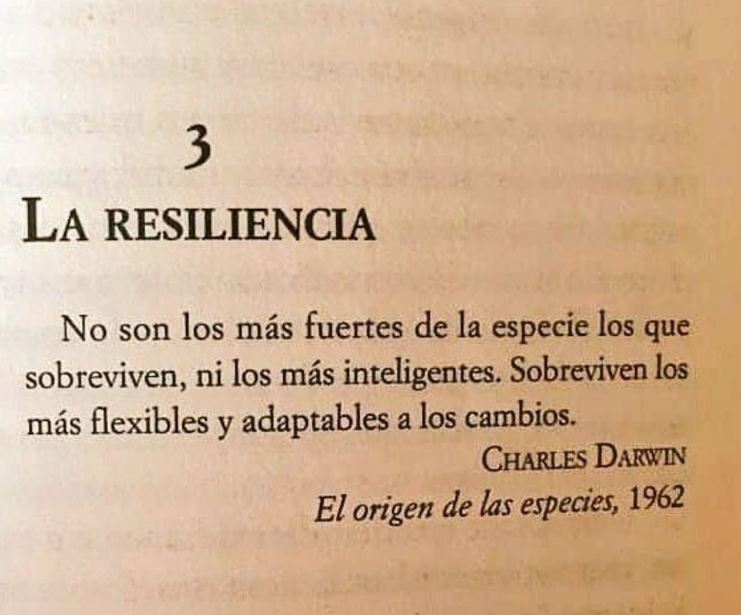 Marta Brox ❤️‍🩹 tweet media