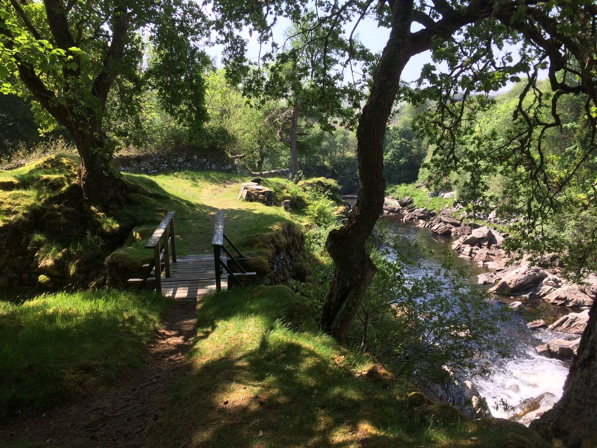 English1Maiden's tweet photo. Remote riverside walk. Scotland . https://t.co/oqSJ7gHgAA