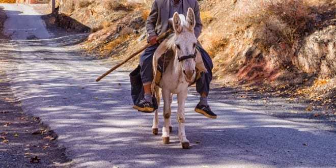 10 TANDA KEDATANGAN MESIAS berjagajaga.wordpress.com/2020/04/18/10-…